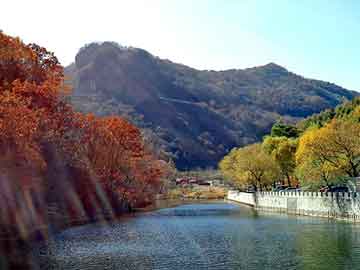 新澳天天开奖资料大全旅游团，云南干花批发